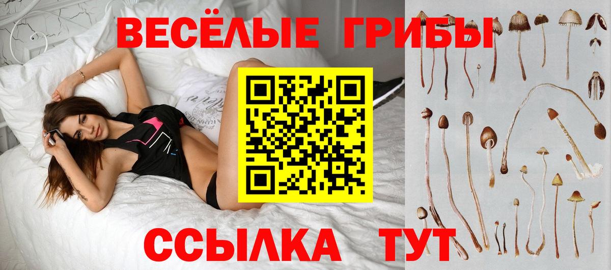 Жигулёвск  Галлюциногенные грибы Magic Shrooms  Вход с VPN  Галлюциногенные грибы Psilocybe 